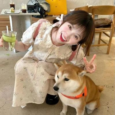 最后的维米尔